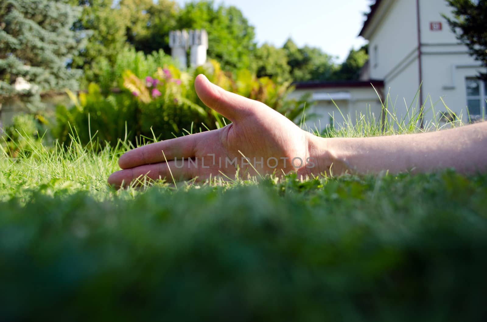 Human hand on garden meadow lawn grass and retro building fragment in background.