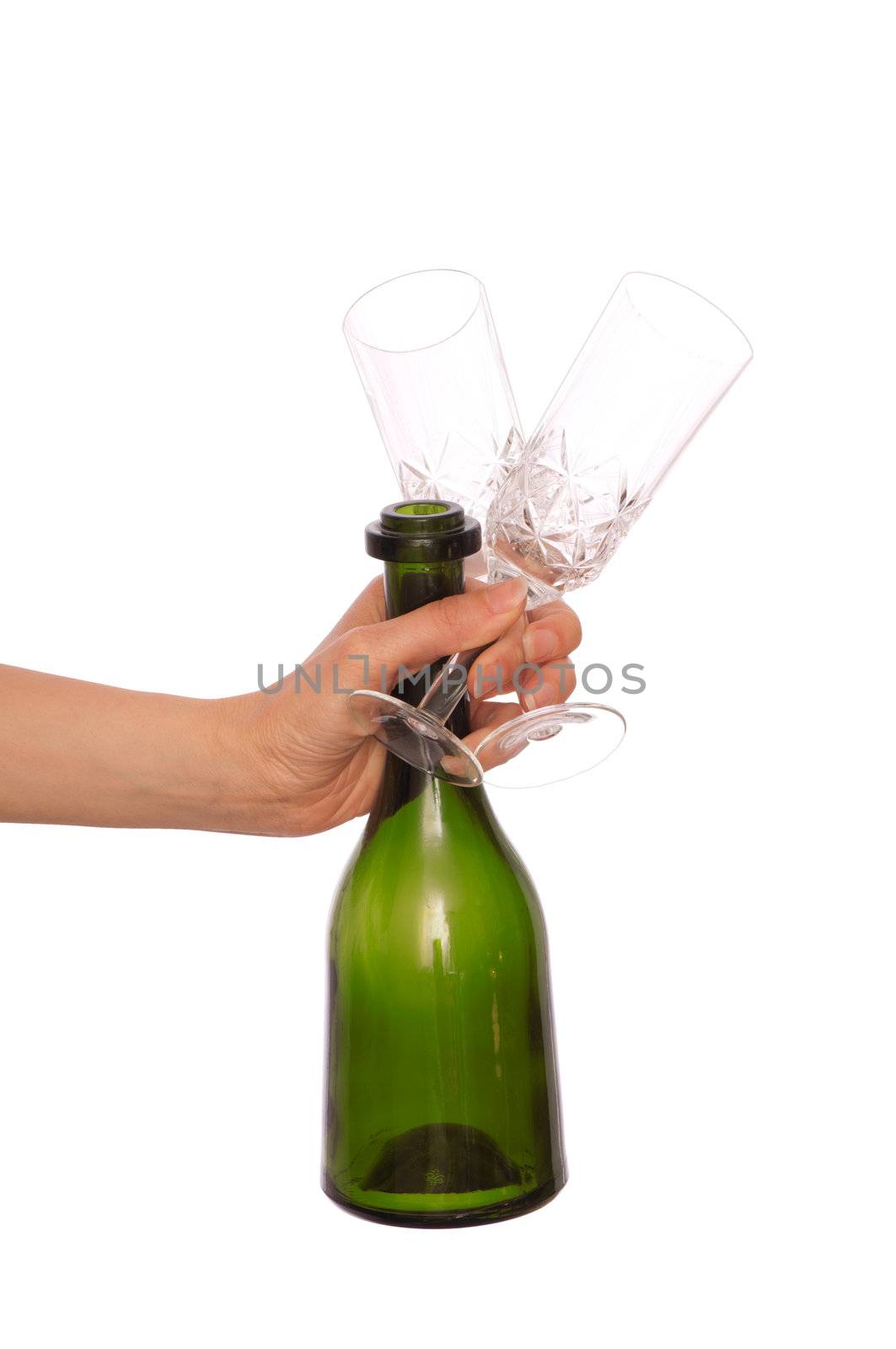 the champagne glasses for cocktails for party