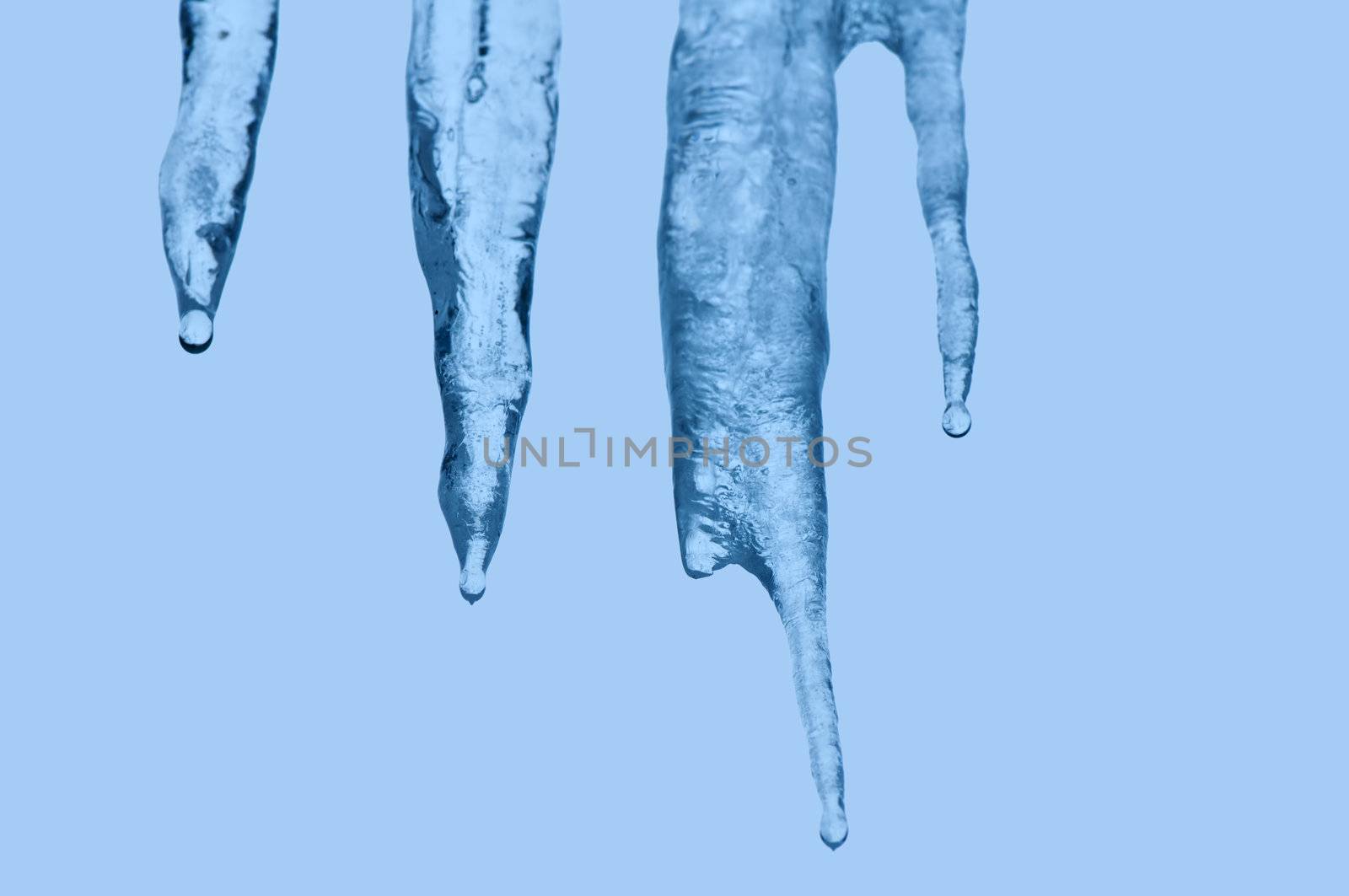 Thawing icicles of a blue shade with water droplets