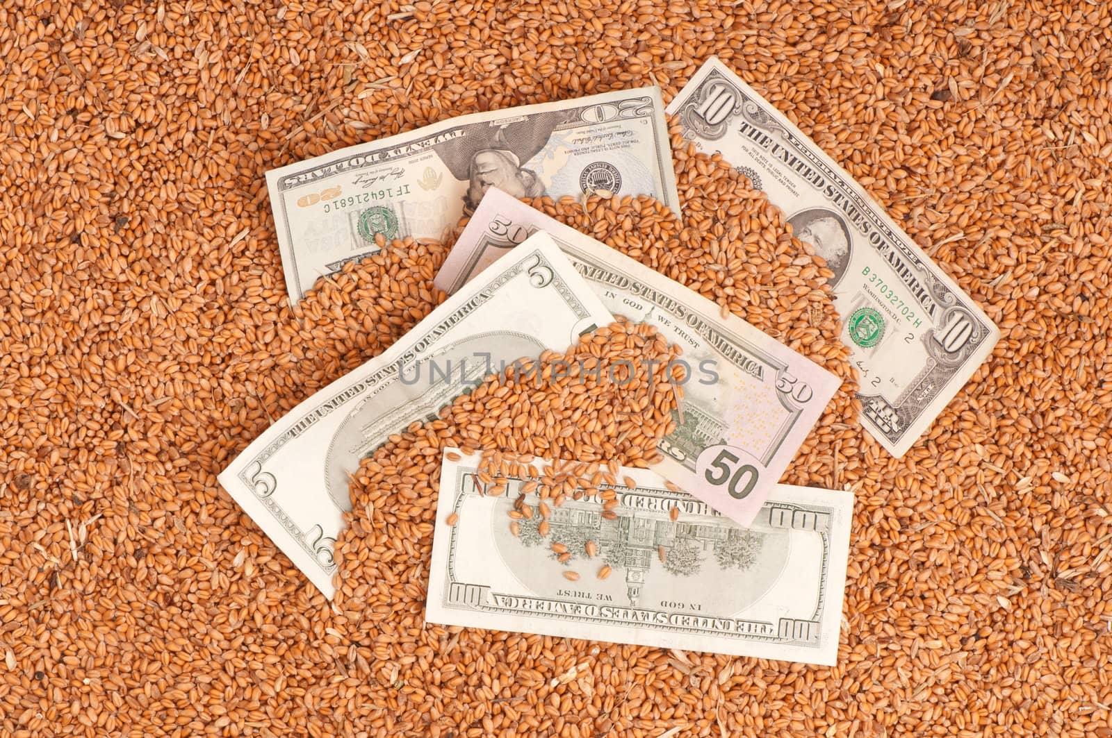 Monetary crop as a symbol of success of sale of a new crop of wheat