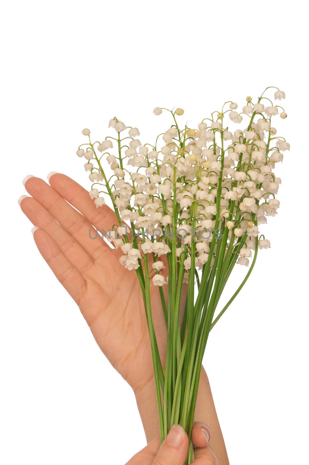 Woman holding lily of the valley in the hand