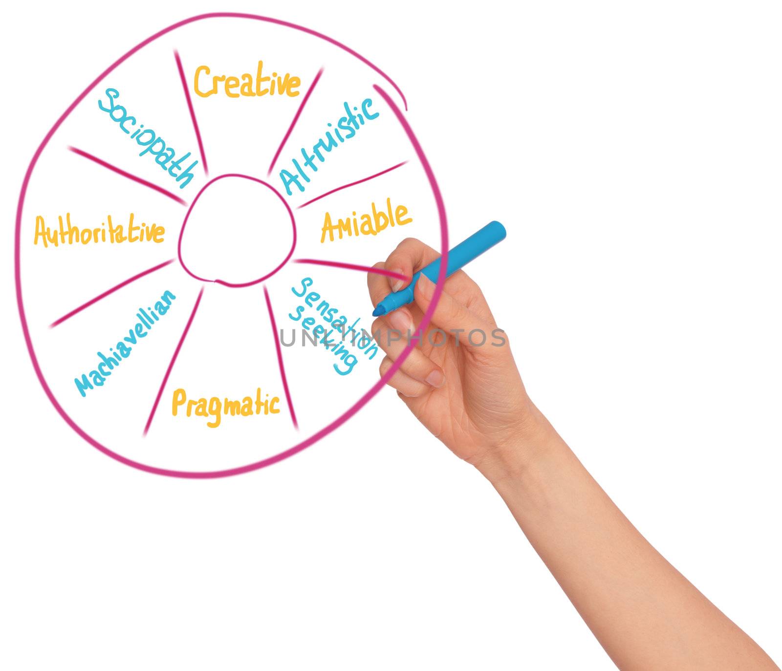 businesswoman drawing sociological description of the worker with blue felt-tip pen at working place
