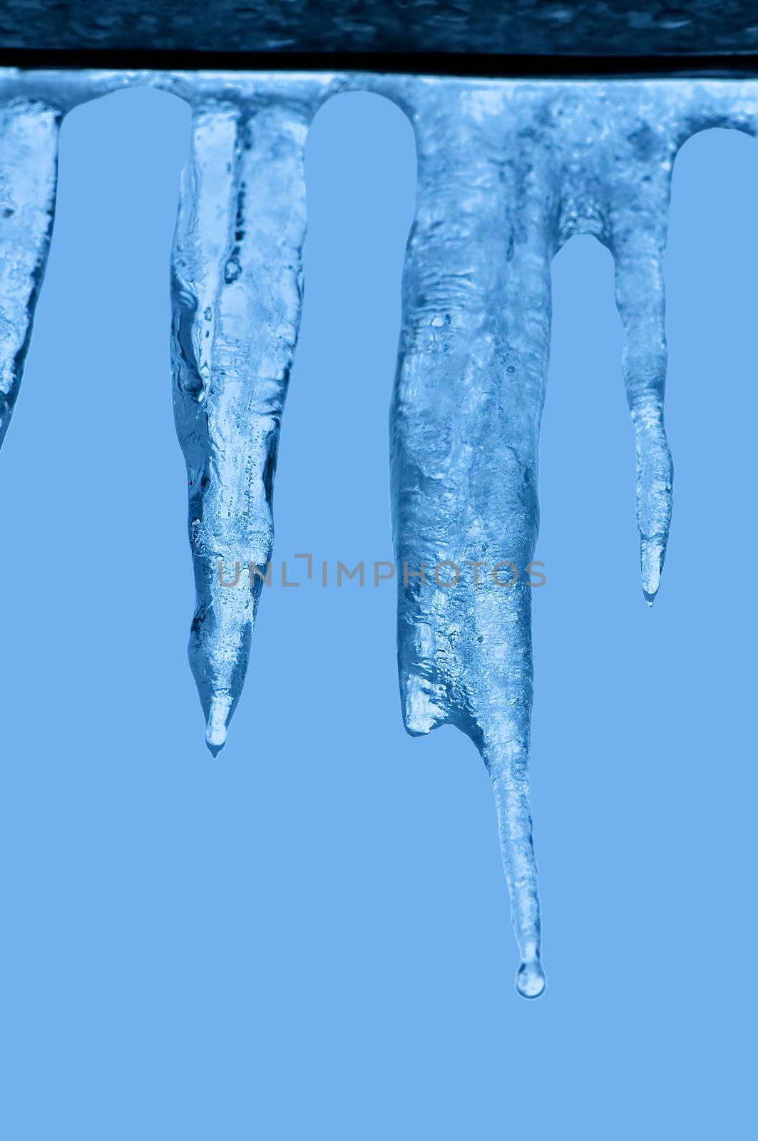 Thawing icicles of a blue shade with water droplets