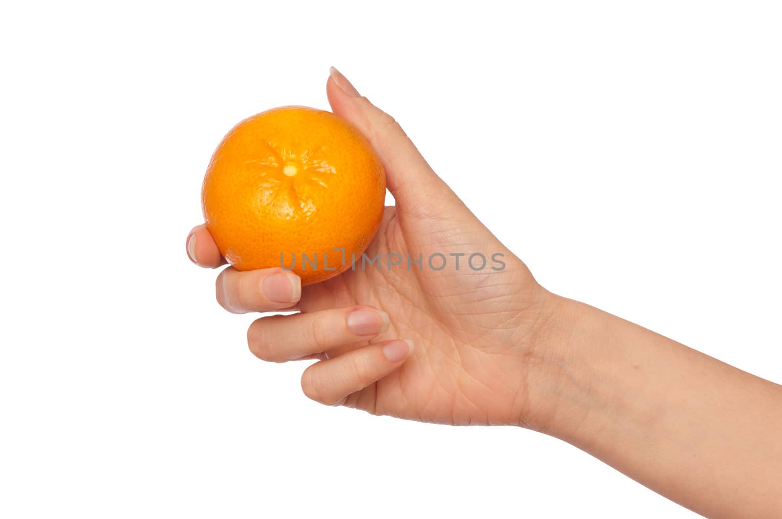 Fresh mature Spanish tangerine in the hand