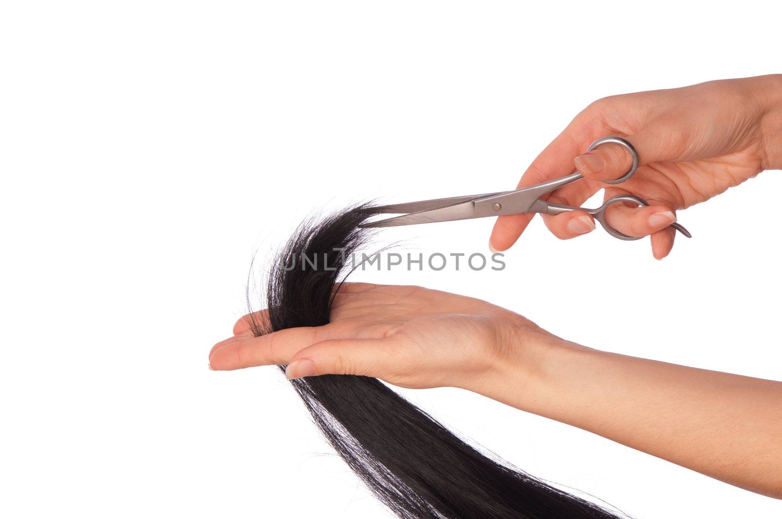 hairdresser cutting young woman with long black hair