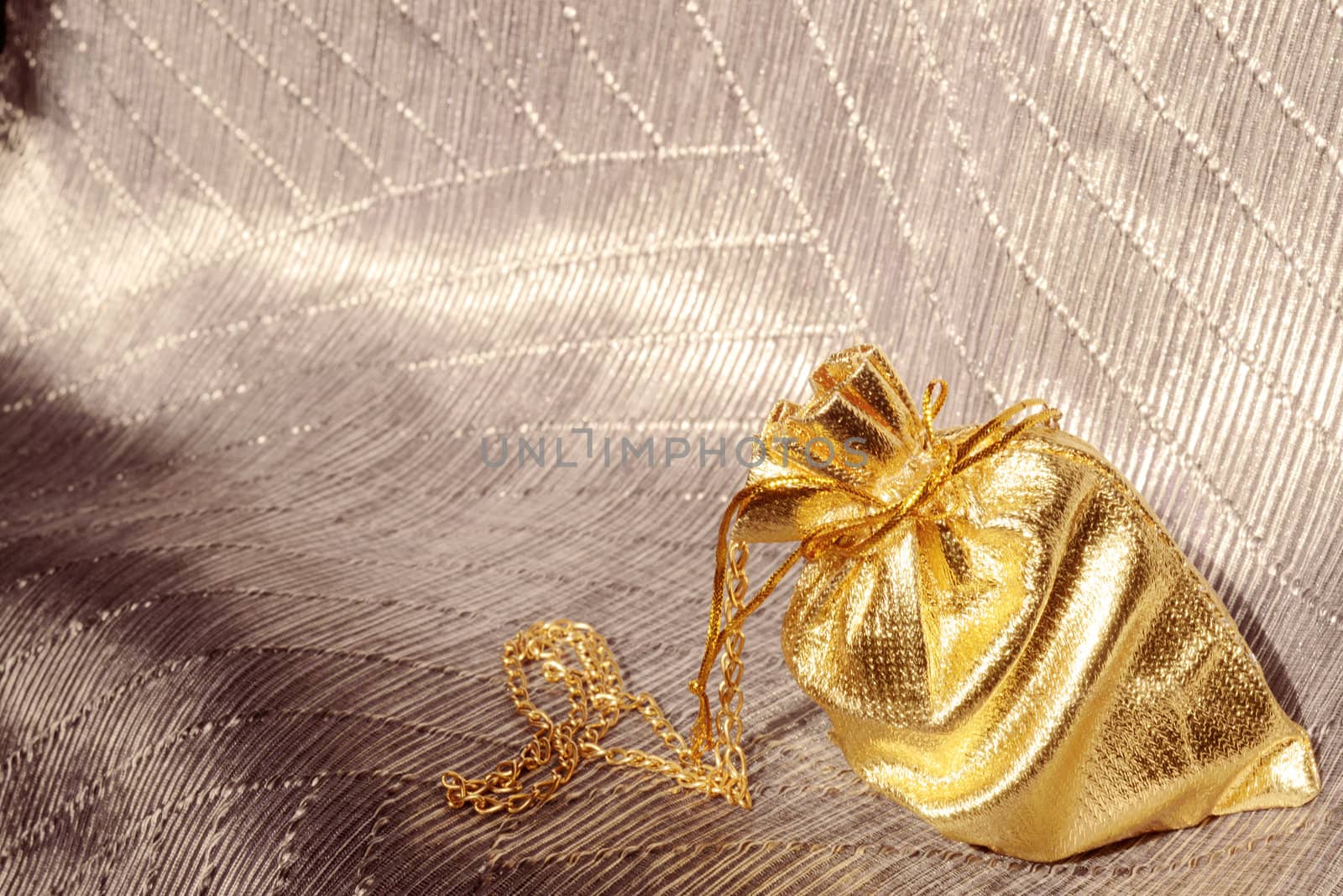 Gift bag with gold chain by Carche