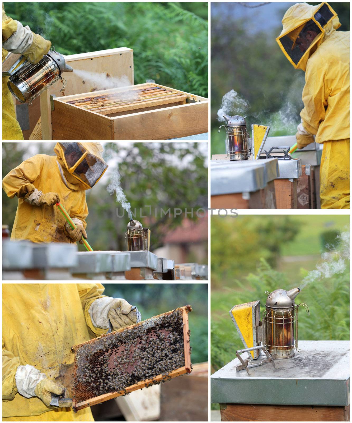 Beekeeper with hives , smoker, honeycomb . Apiculture collage