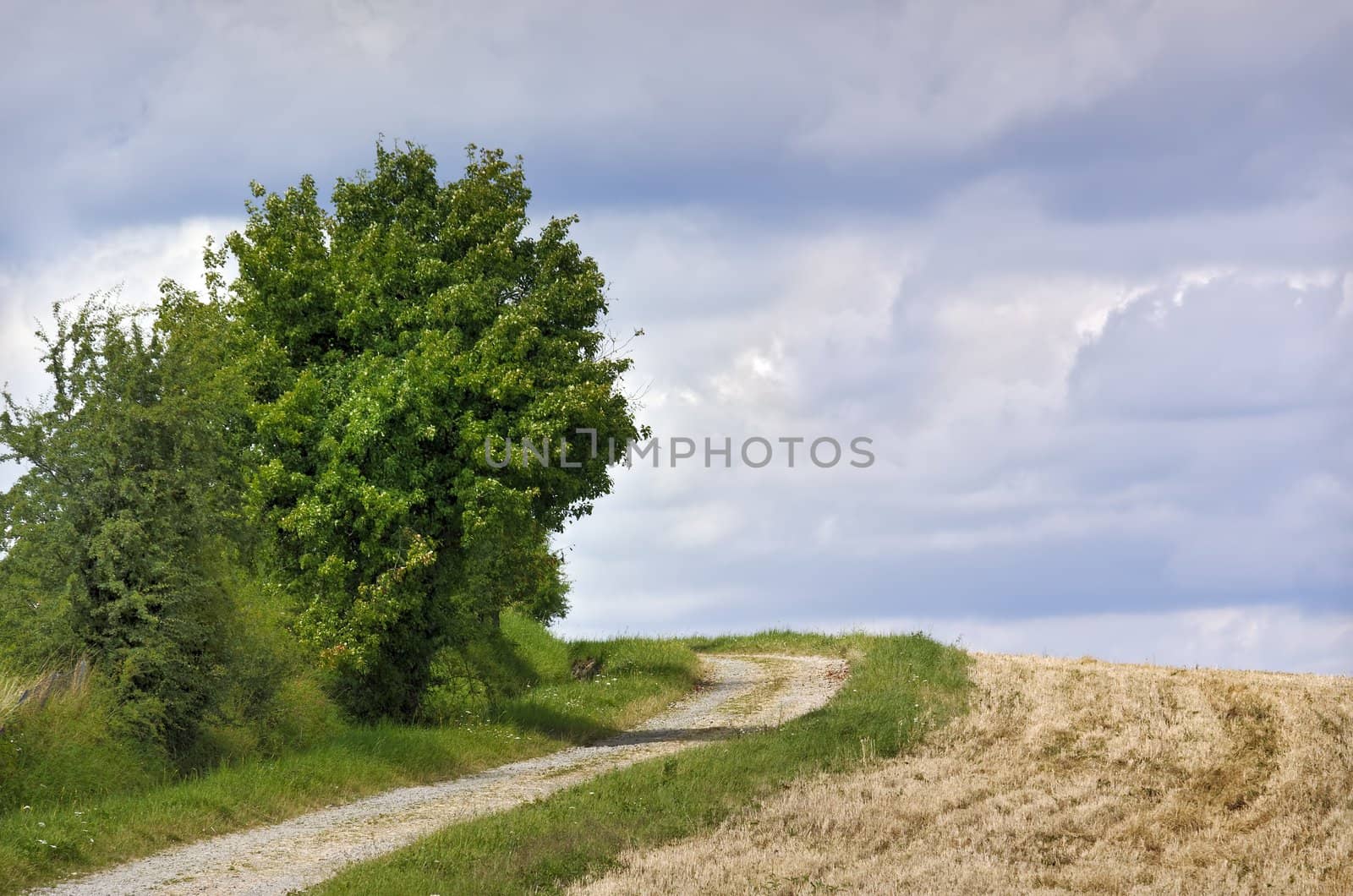 countryside lane on cloudy sky