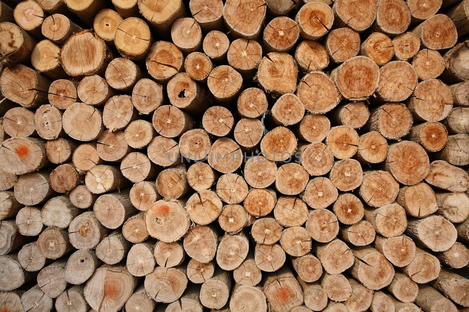 Stack wood by antpkr