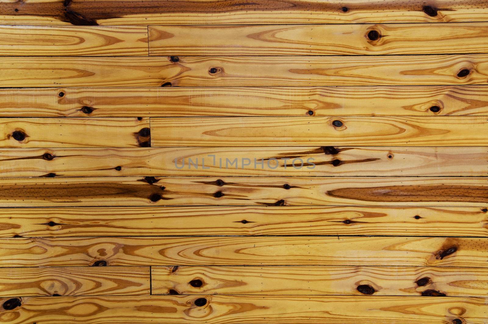 Wood Texture by antpkr