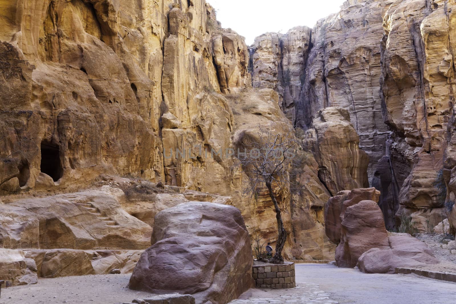 the siq, the entrance to the lost city of petra, jordan