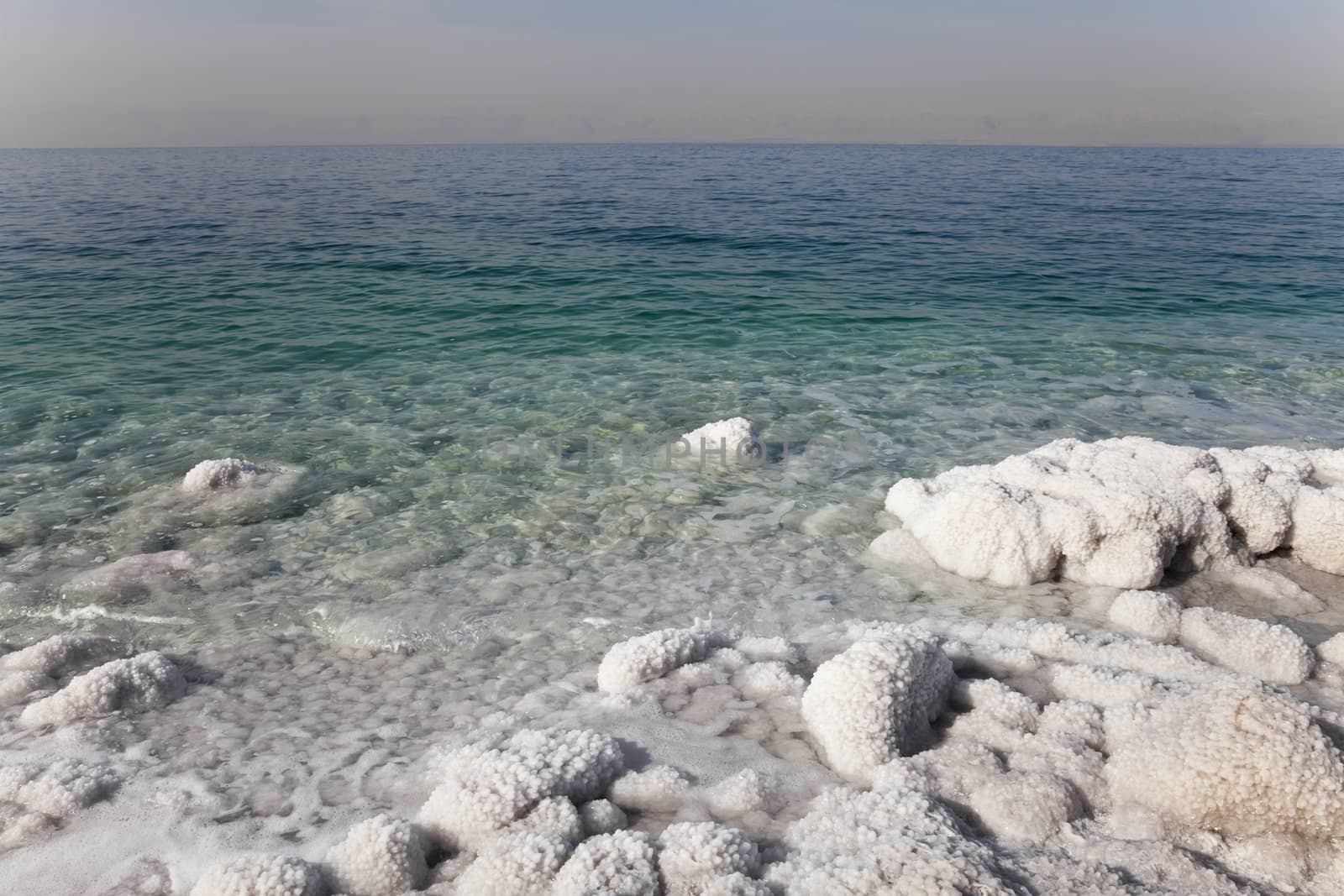 salt precipitated on the coast of dead sea in jordan