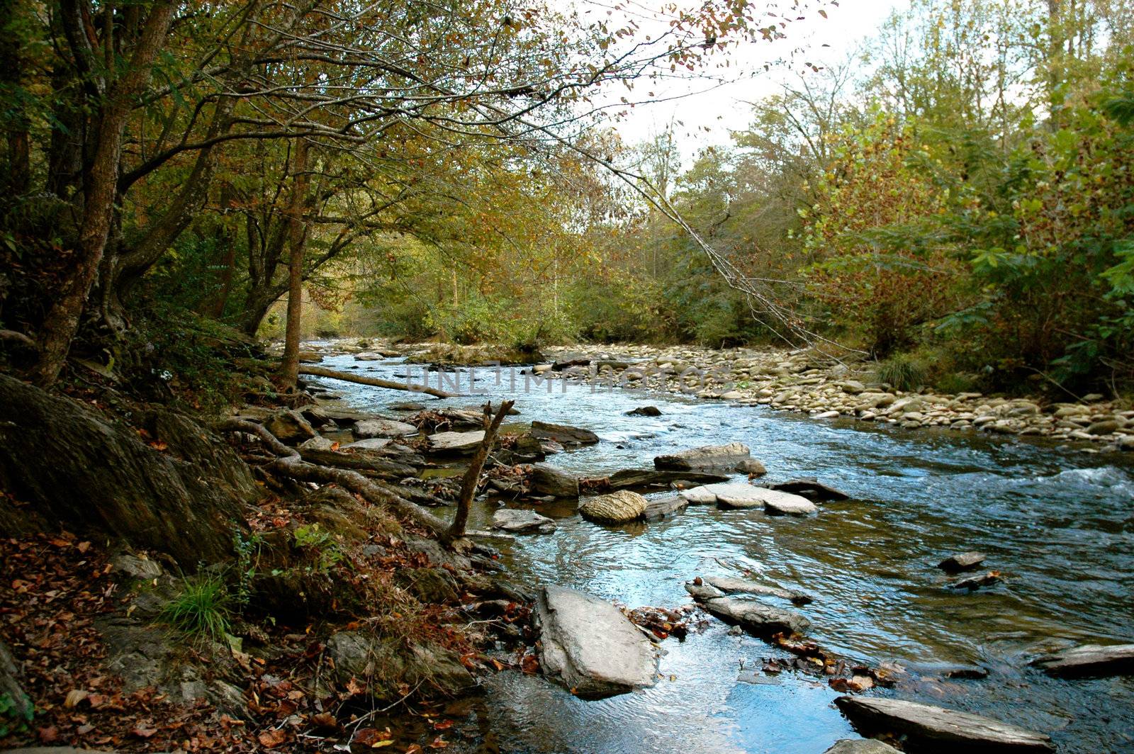 Rocks and water