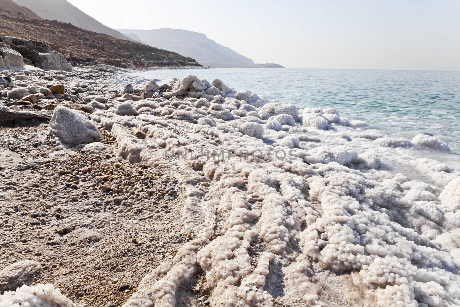 salt precipitated on dead sea coast in jordan