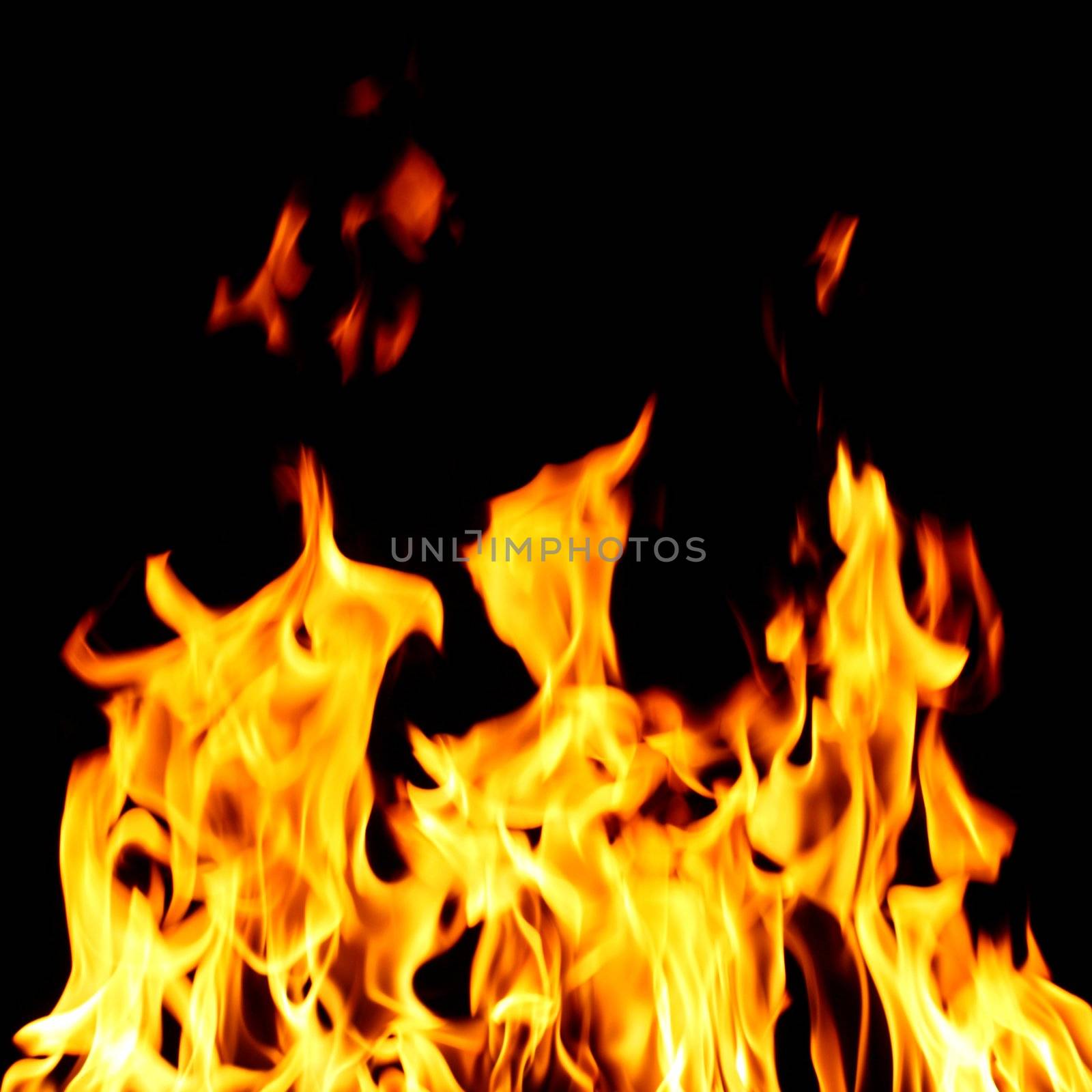 inferno flame fire on black background close up