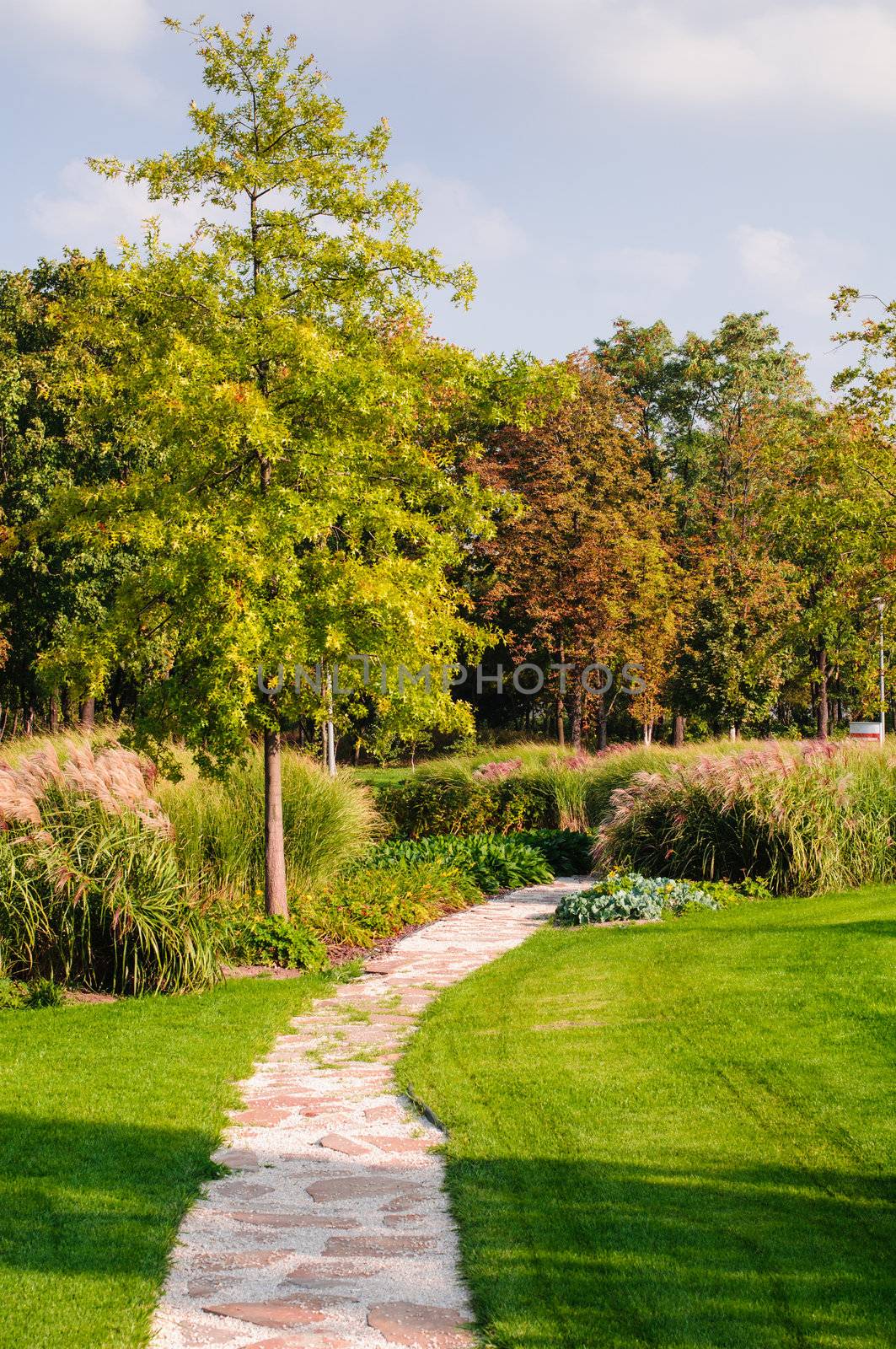 Pathway in the autumn park with colored trees background