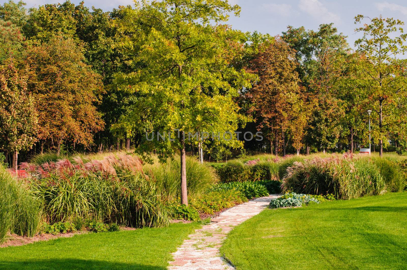 Pathway in the autumn park with colored trees background