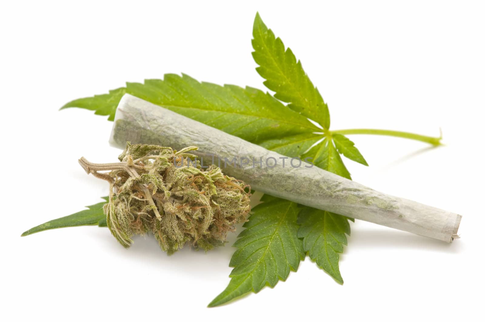 marijuana cigarette and green Leaf Isolated on white background

