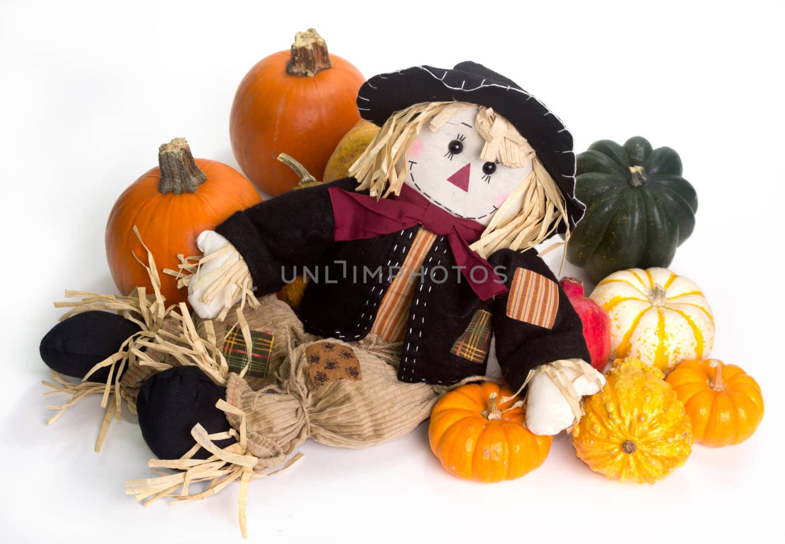 Harvest scarecrow laying on a bed squash, fairytale, cinderella, and Halloween pumpkins.