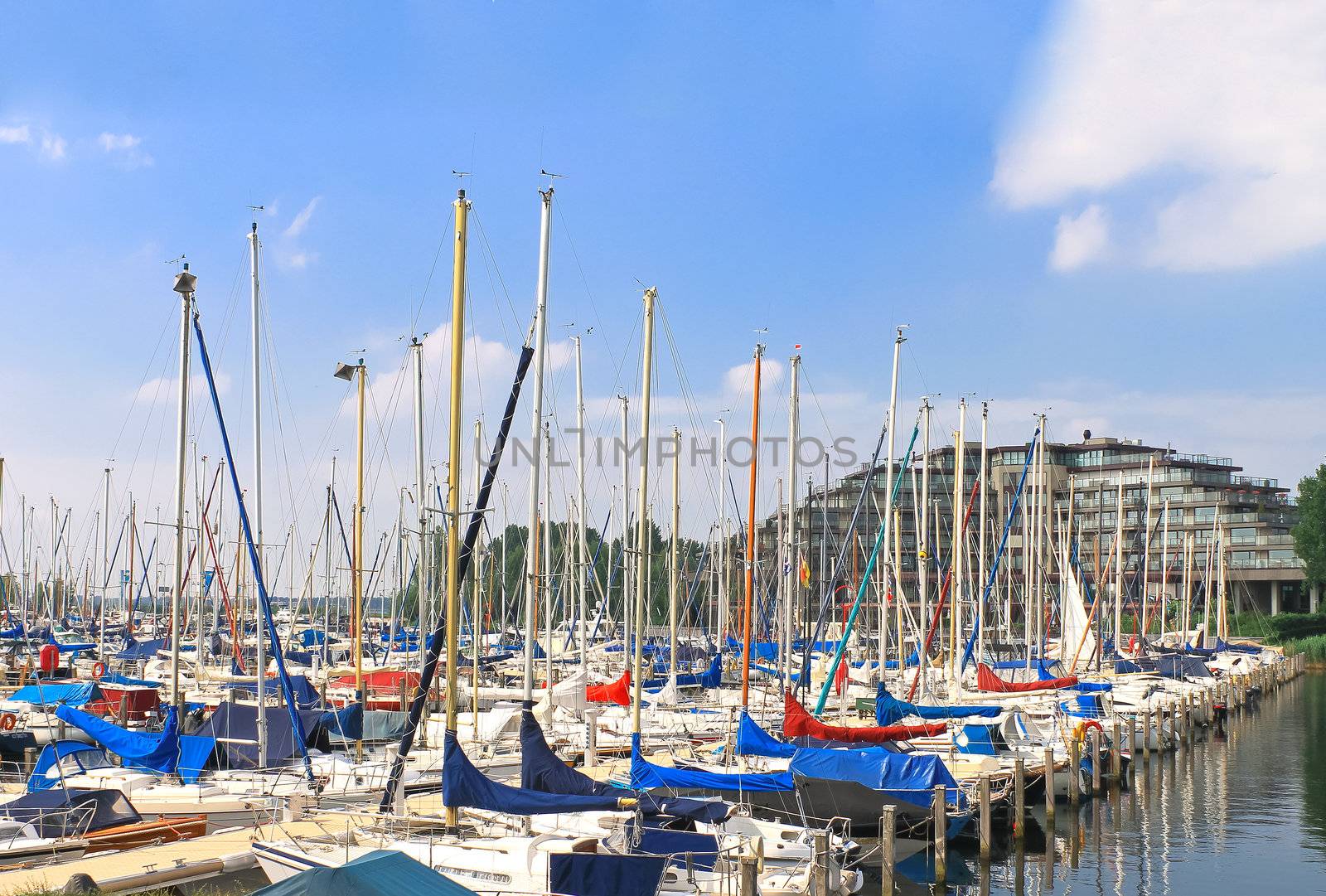 Boats at the marina Huizen. Netherlands  by NickNick