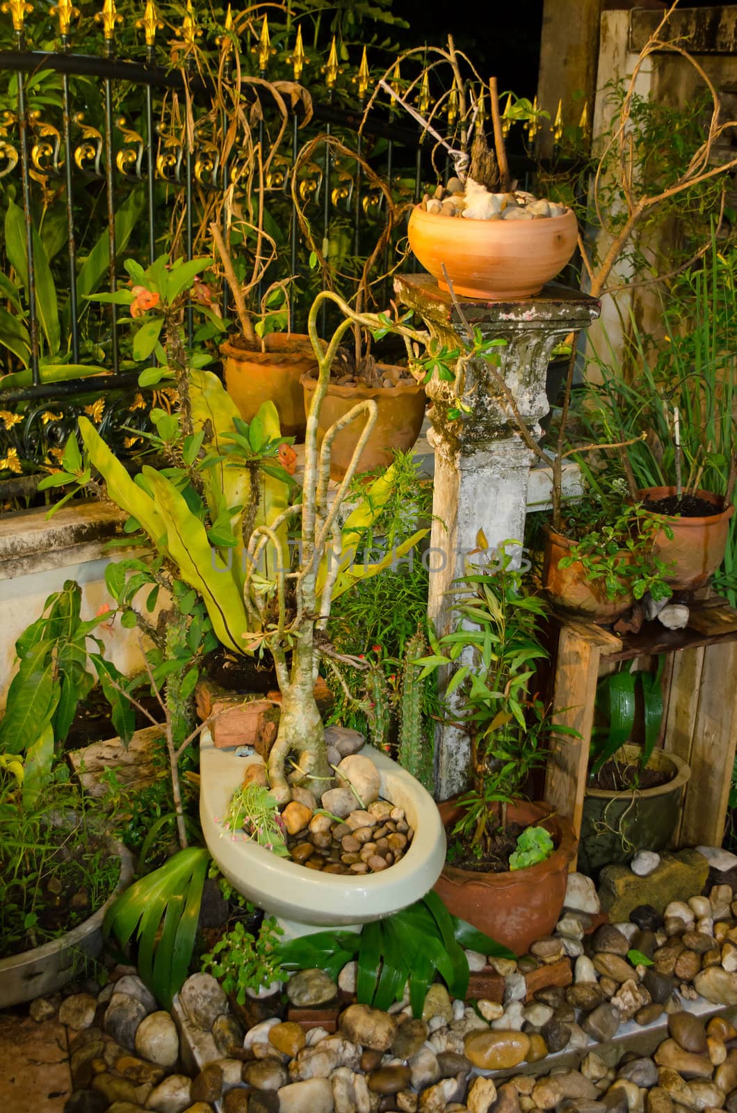 home garden with sanitary ware plant pot