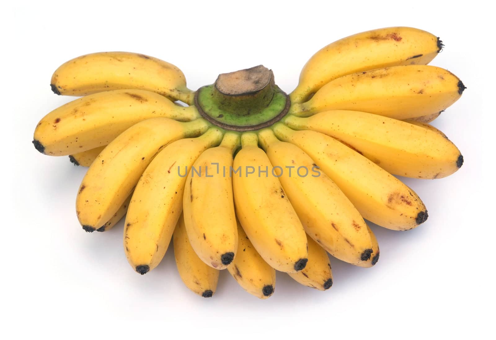 Fresh dainty banana   by opasstudio