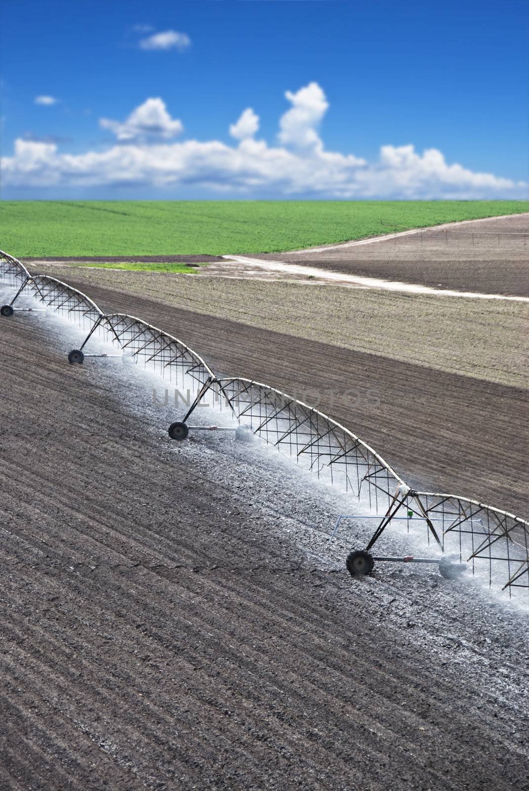 Farm field with modern irrigation system water a newly planted field