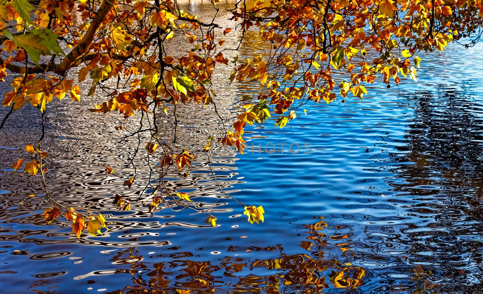 Colorful image of a canal in autumn located in Amsterdam.