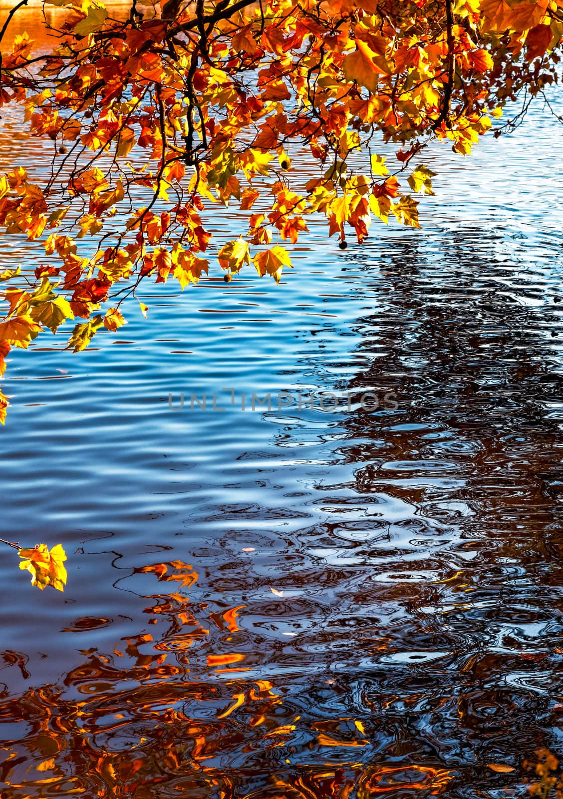 Canal in Autumn by RazvanPhotography