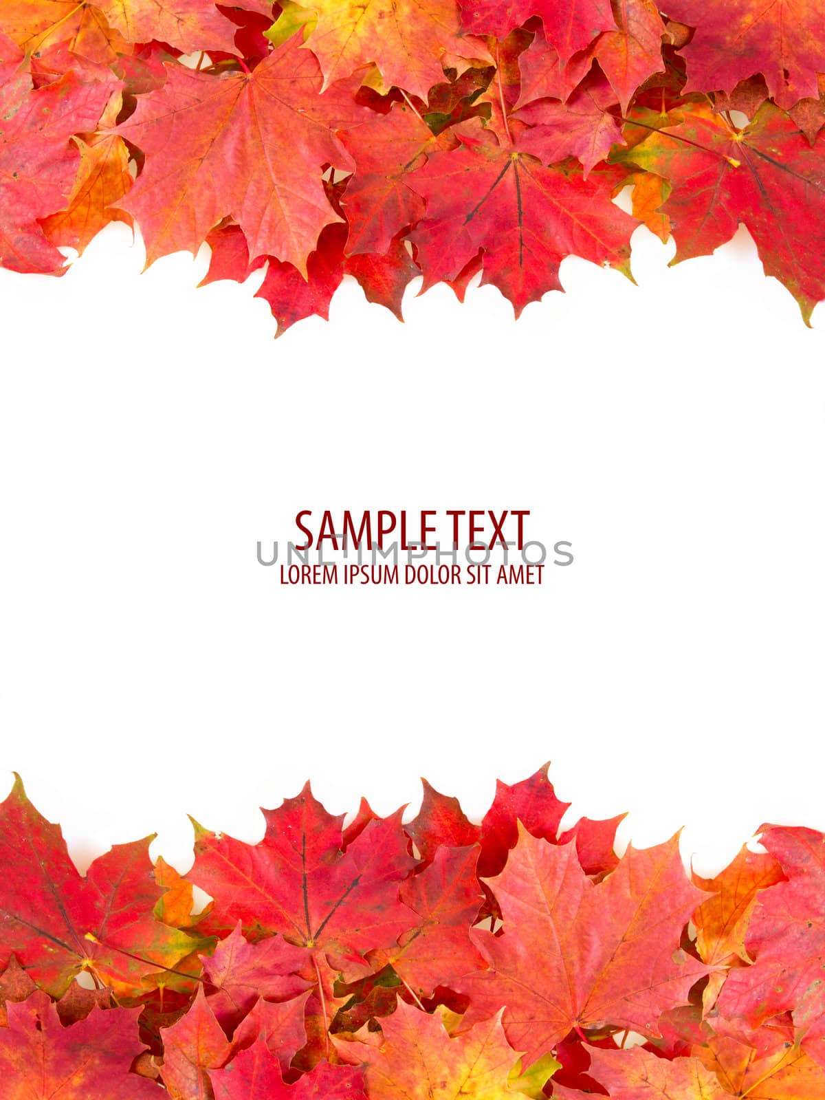 red autumn leaves frame with space for your text