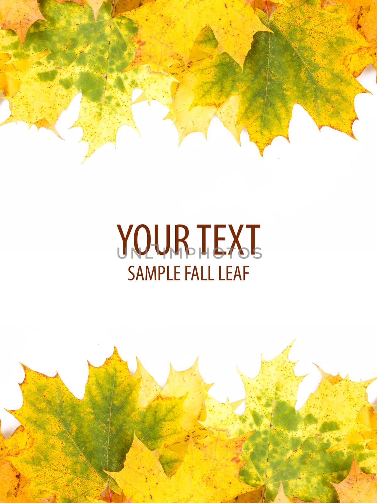 Autumn leaves frame with space for your text