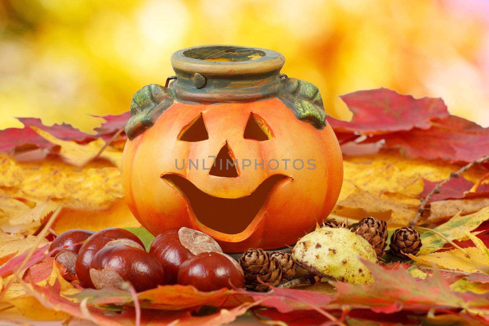 Halloween Pumpkin Lantern with chestnuts cones and autumn leaves