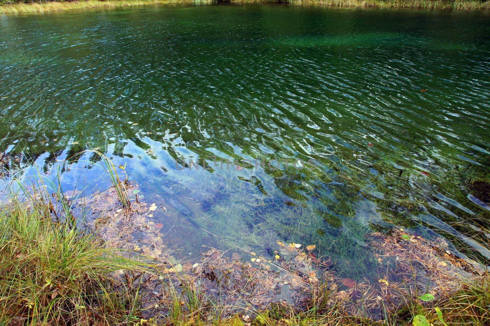 Transparent water on a pond in a countryside