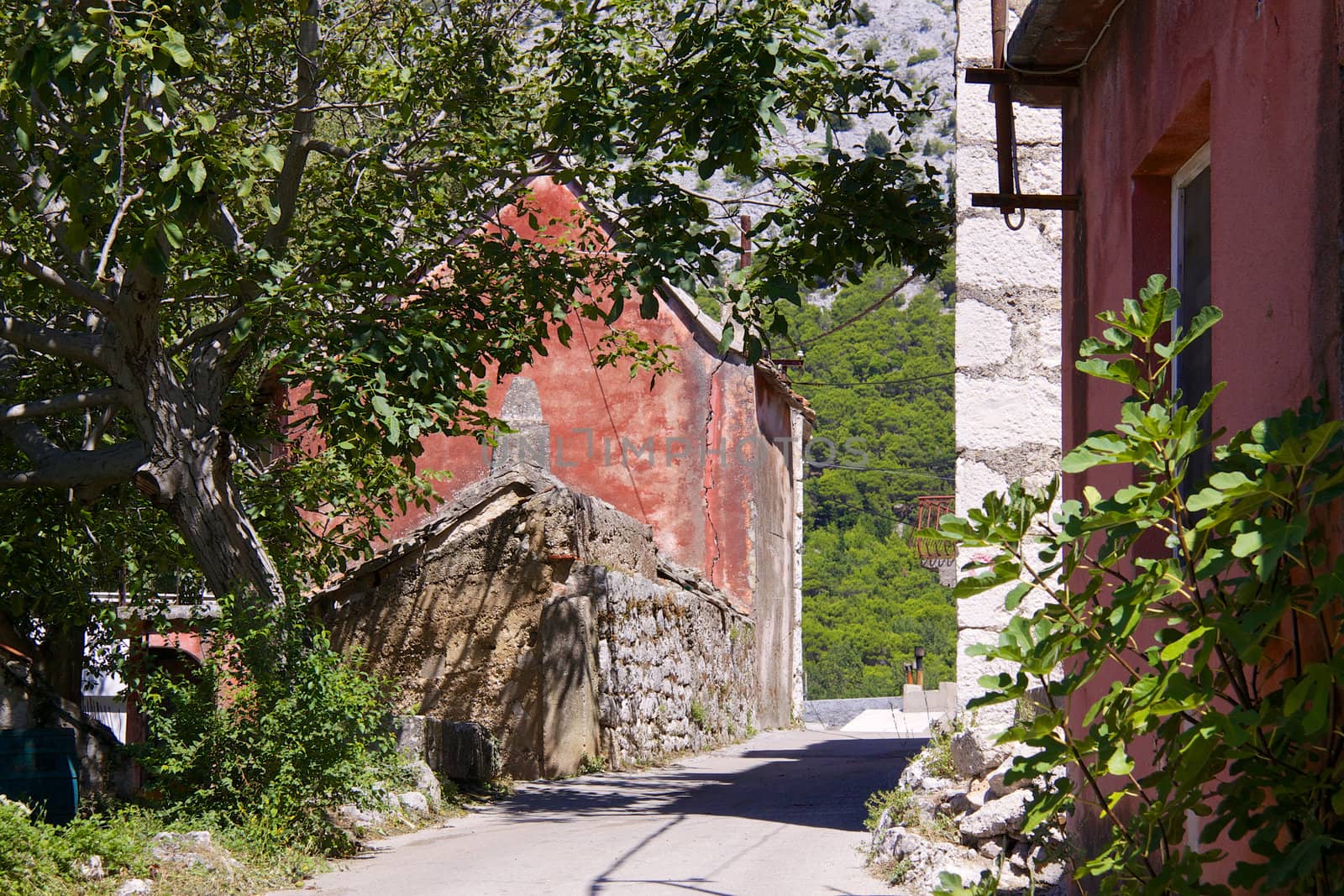 Street in old village of Tucepi with typical stone houses on Makarska Riviera in Dalmatia, Croatia