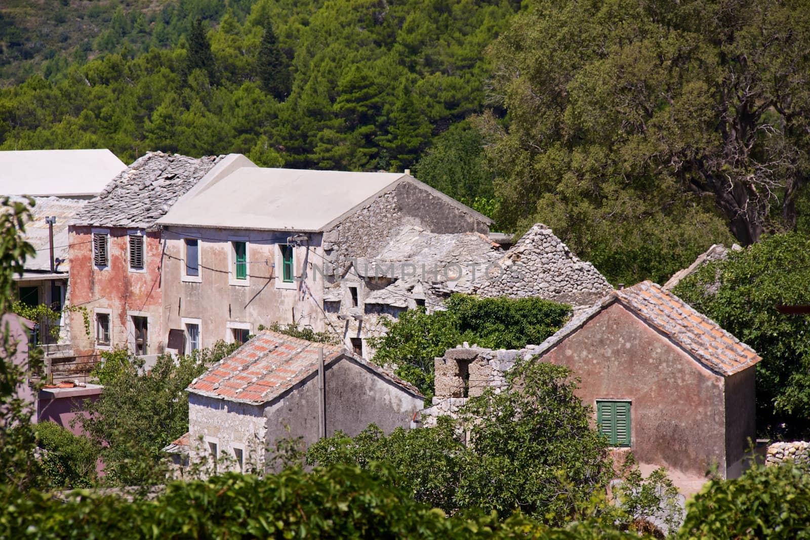 Typical stone houses in old village of Tucepi on Makarska Riviera in Dalmatia, Croatia