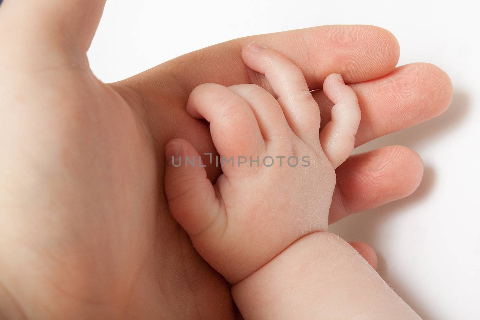 A child has their baby hand open and in their parents hand.