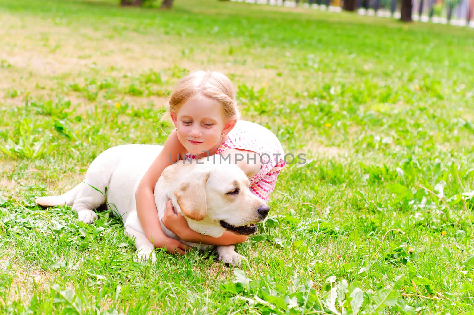 girl and she lablador, hugging in the park lying on the grass