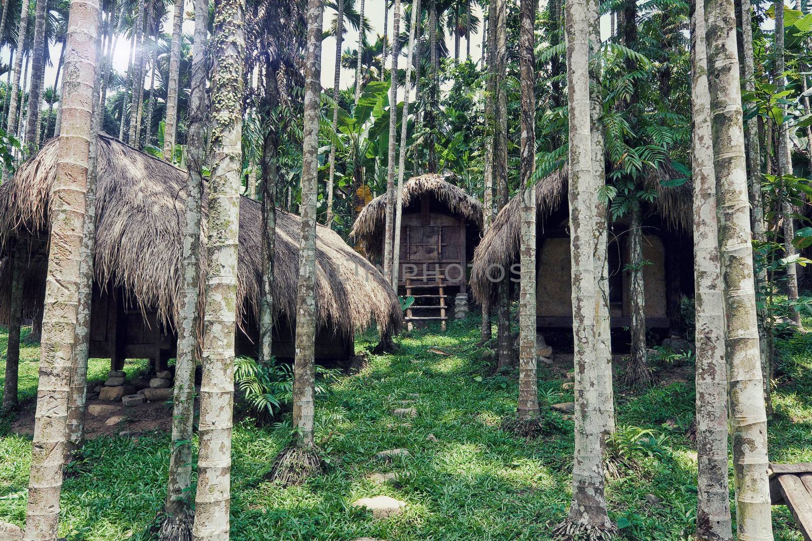 tribal houses in jungle photo