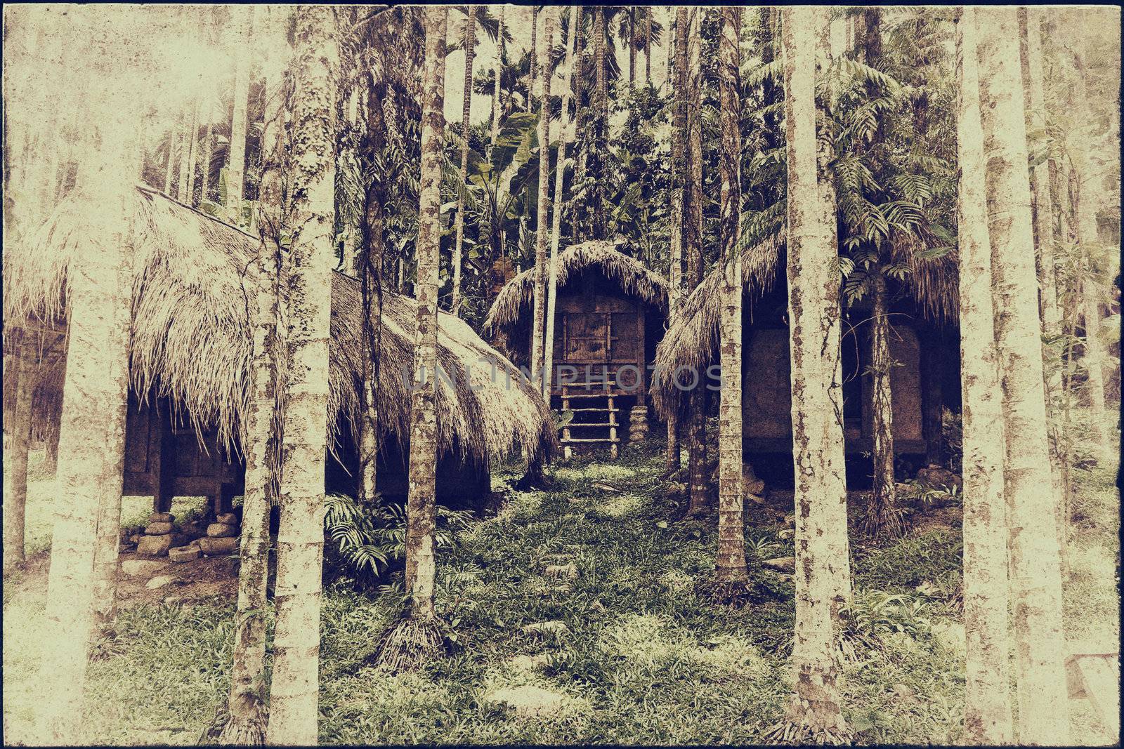 vintage style photo -tribal houses in jungle photo