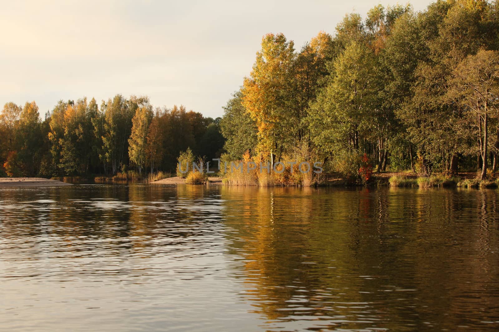 Autumn trees reflecting off the water