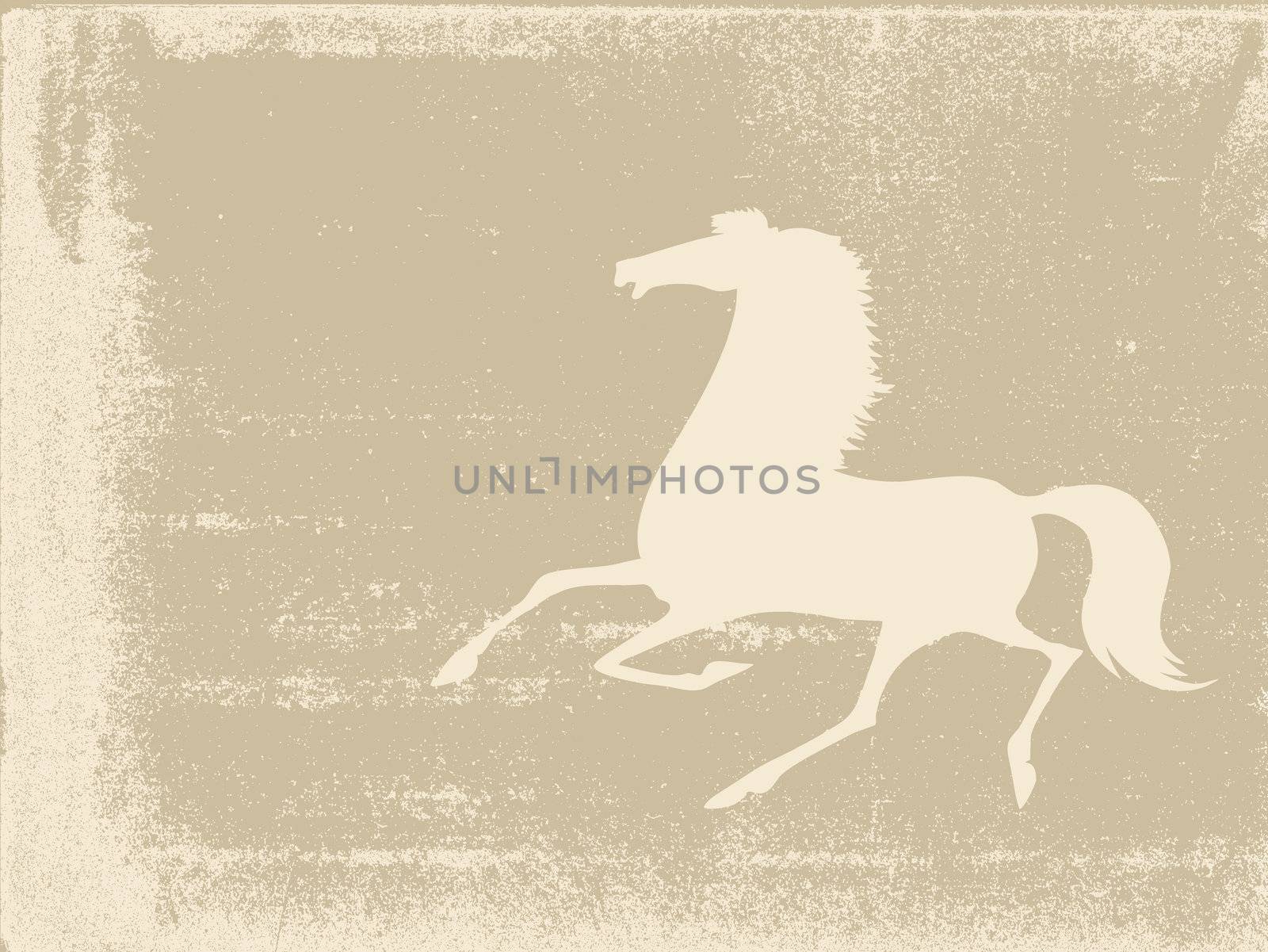 horse silhouette on grunge background