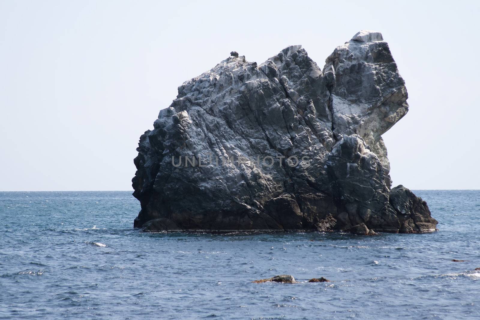 Rock in the sea survey by victosha