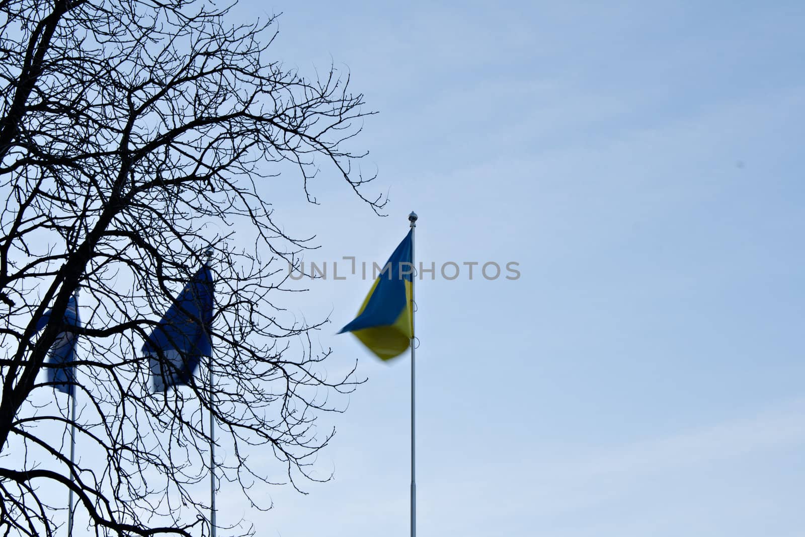 Ukrainian flag against the sky by victosha