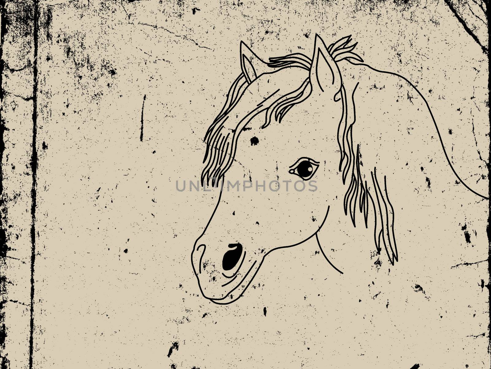 foal drawing on dirty paper
