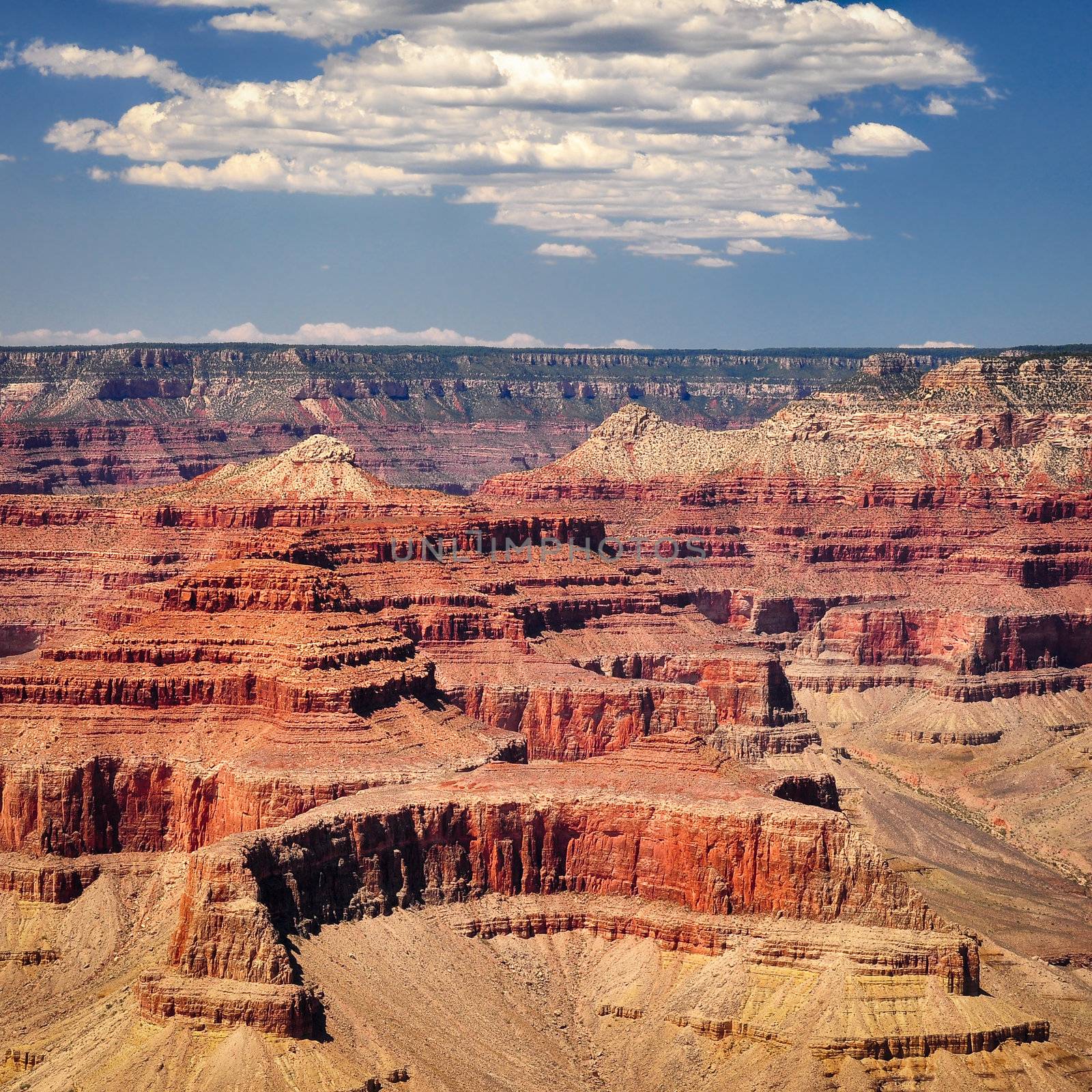 Grand canyon vivid day with white clouds, square format, Arizona, USA