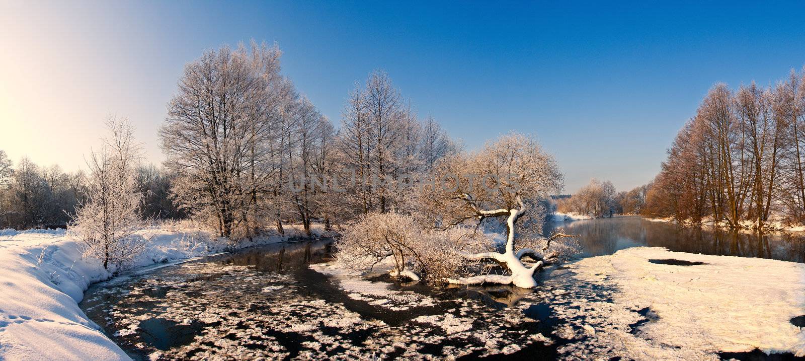 trees with frost on winter river