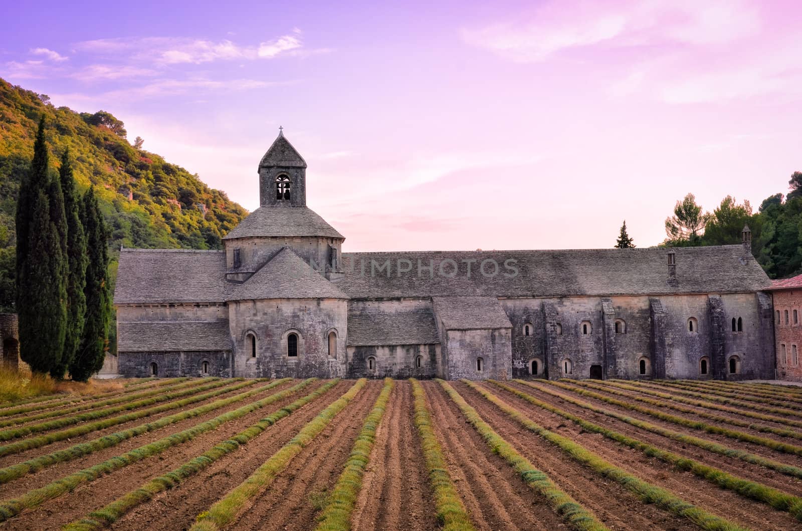 Abbaye de Senanque in Provence before sunset, France
