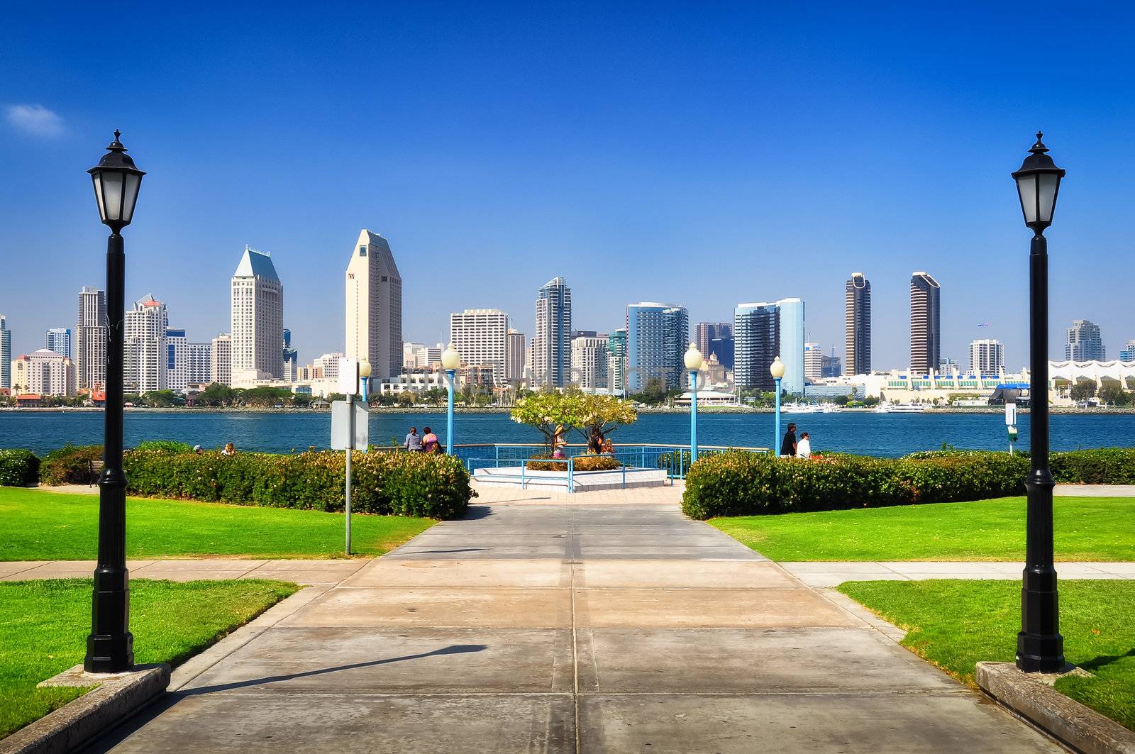 San Diego city view from the park by martinm303