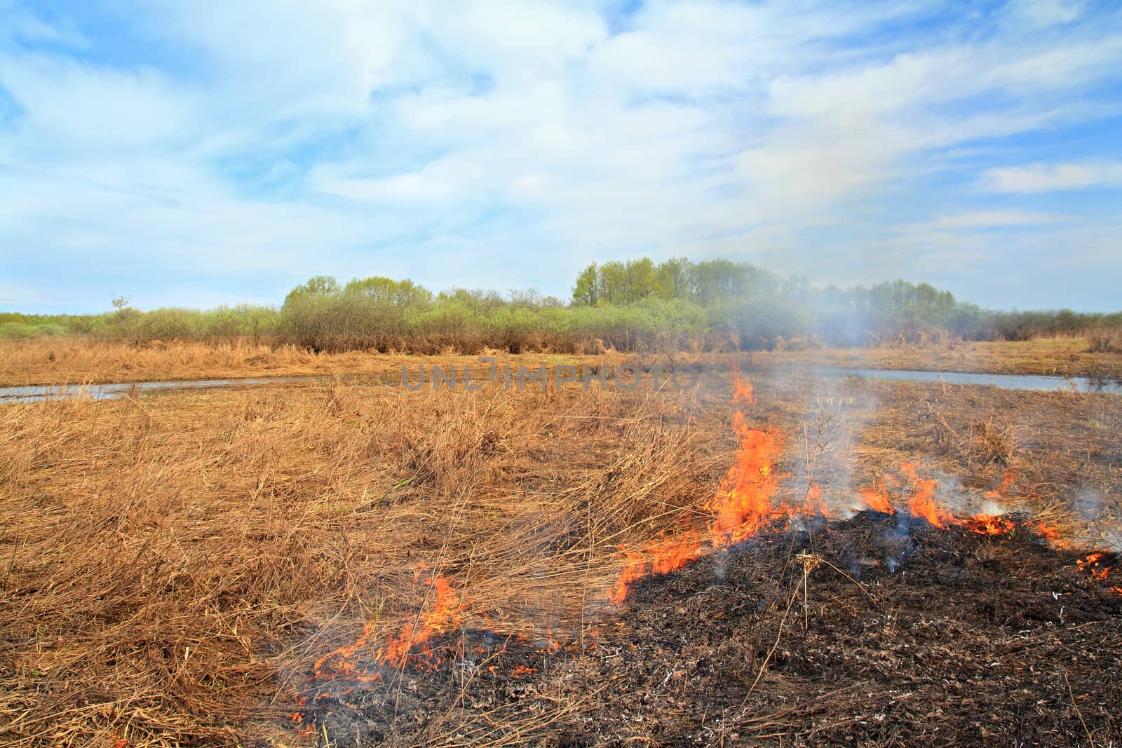 fire in herb near oak wood by basel101658