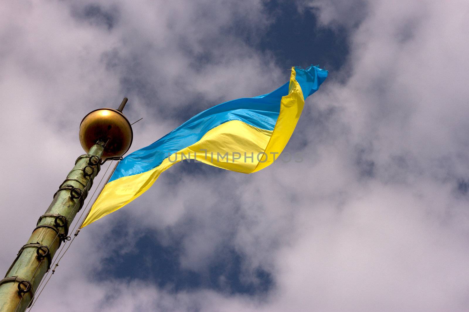 Flag of Ukraine is developing in the sky